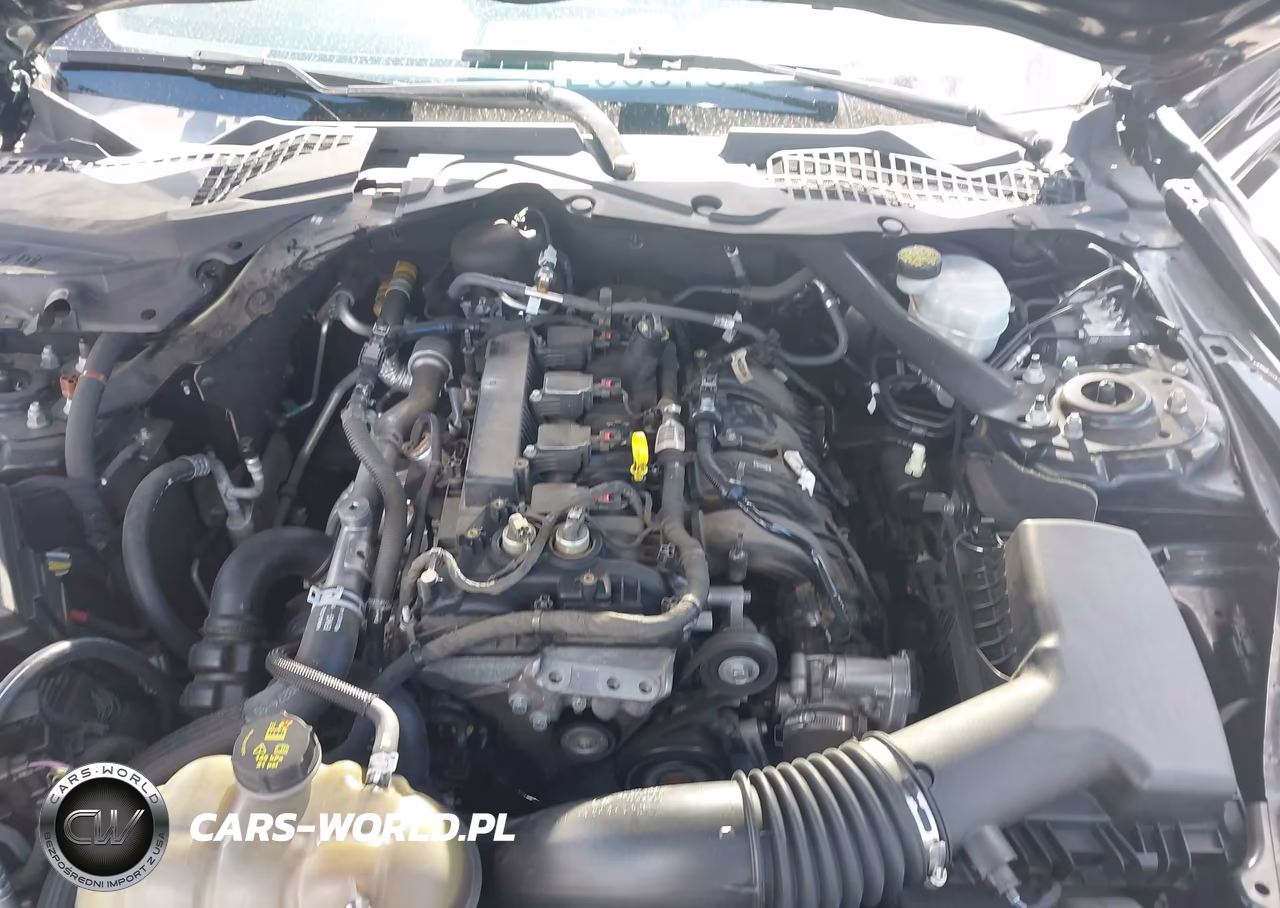 2016 Ford Mustang Ecoboost VIN:1FA6P8TH5G5264047 - 10