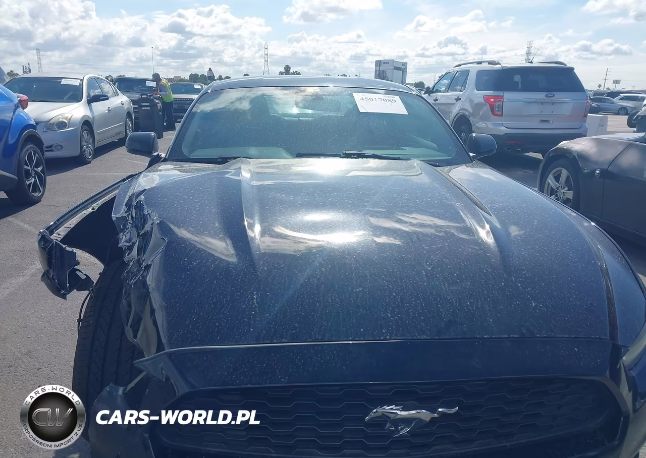 2016 Ford Mustang Ecoboost VIN:1FA6P8TH5G5264047 - 12