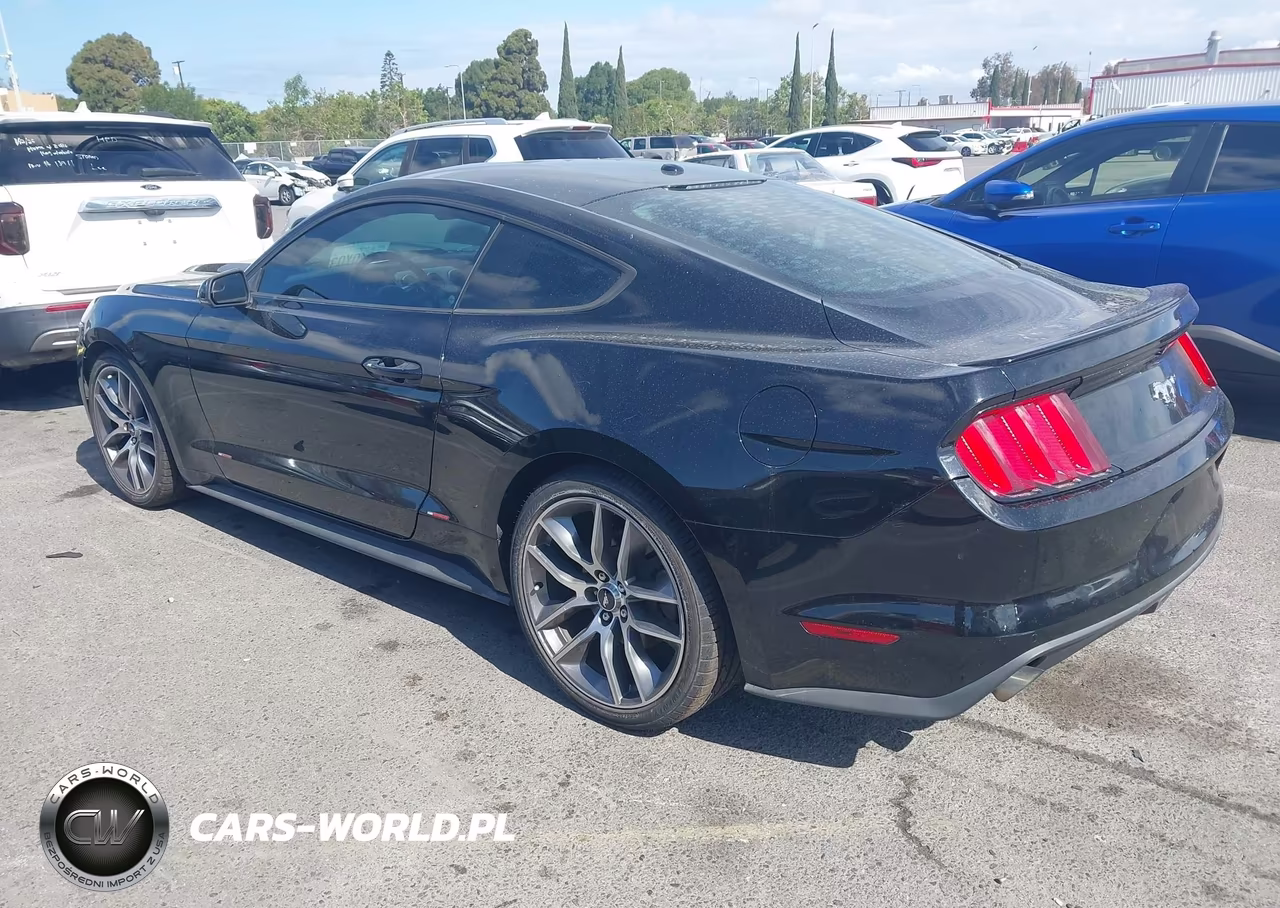 2016 Ford Mustang Ecoboost VIN:1FA6P8TH5G5264047 - 3
