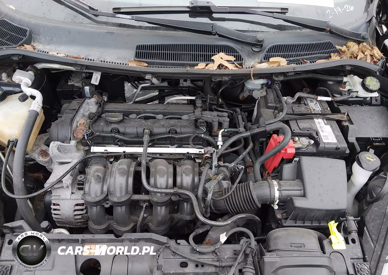 2015 Ford Fiesta Se VIN:3FADP4BJ9FM154146 - 10