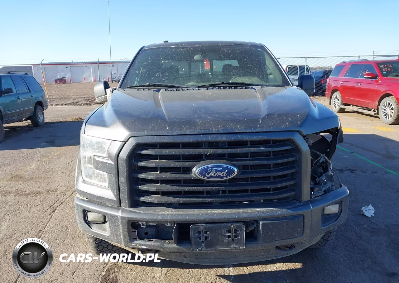 2016 Ford F-150 Xlt VIN:1FTEW1EG4GKF51742 - 12