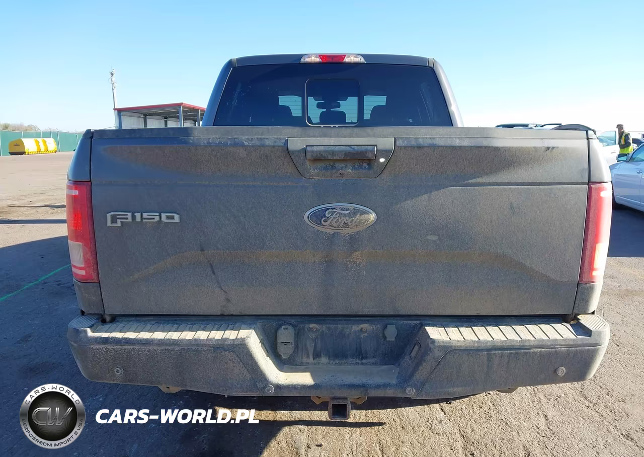 2016 Ford F-150 Xlt VIN:1FTEW1EG4GKF51742 - 16
