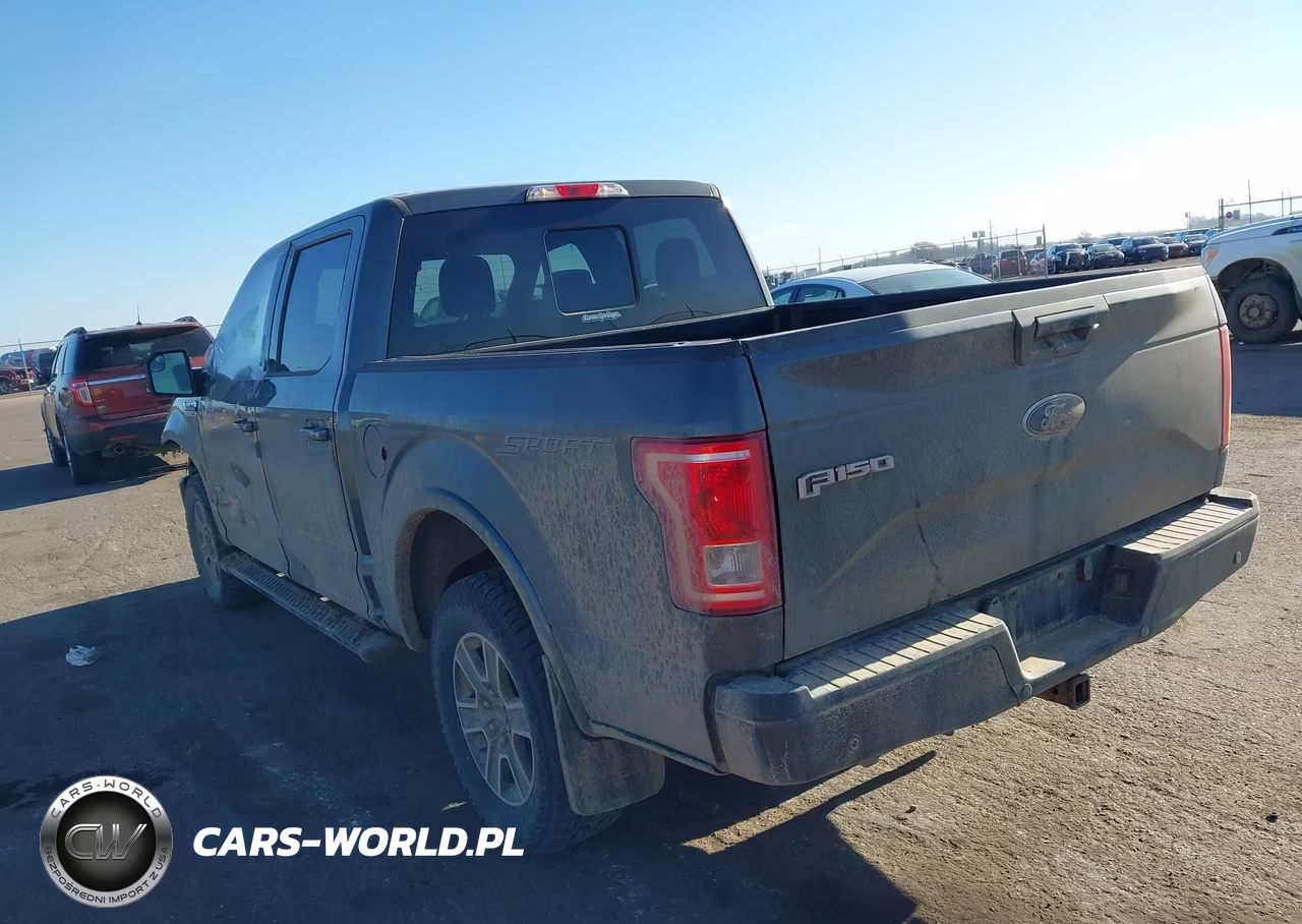 2016 Ford F-150 Xlt VIN:1FTEW1EG4GKF51742 - 3