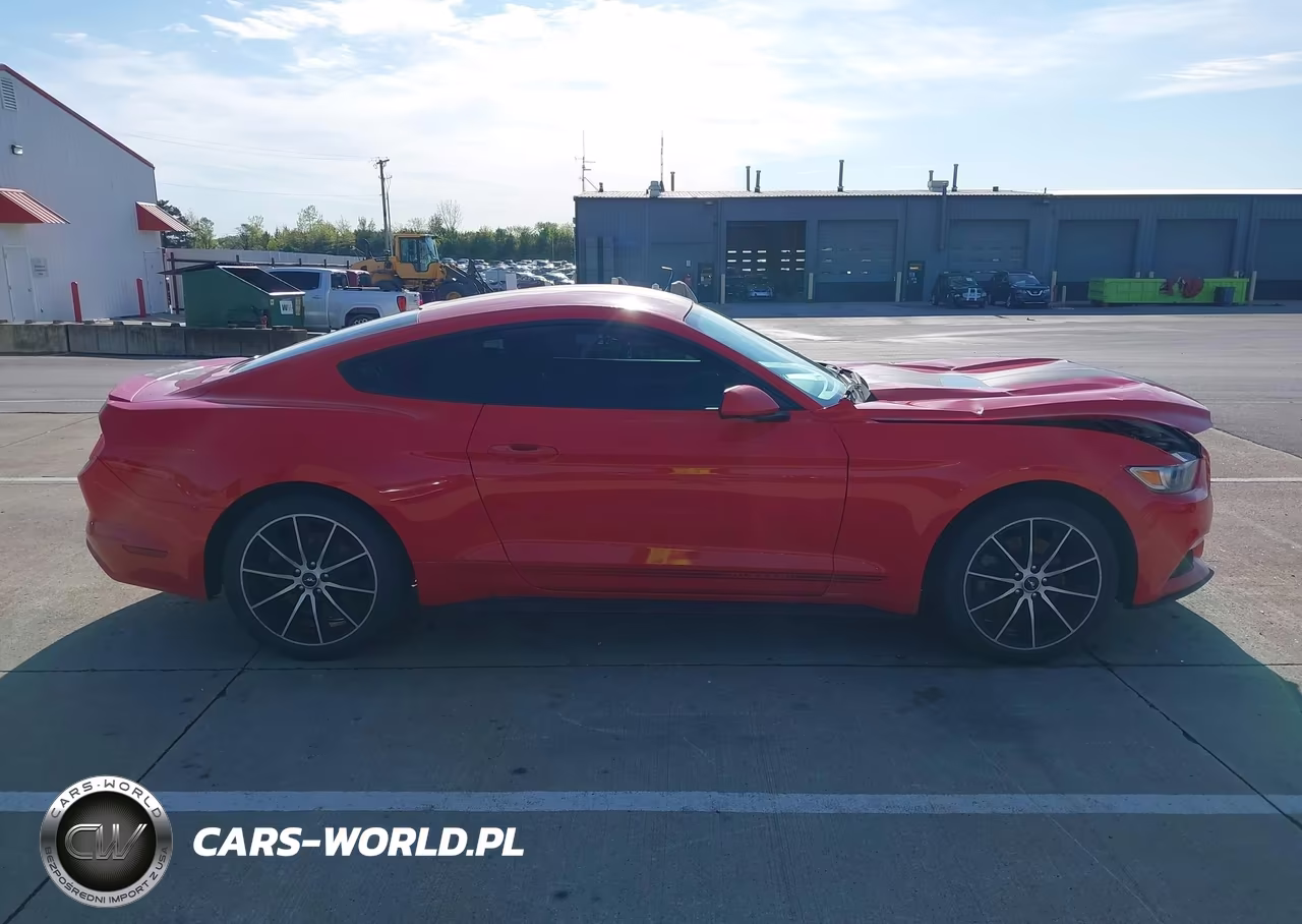 2017 Ford Mustang Ecoboost VIN:1FA6P8TH5H5240686 - 13