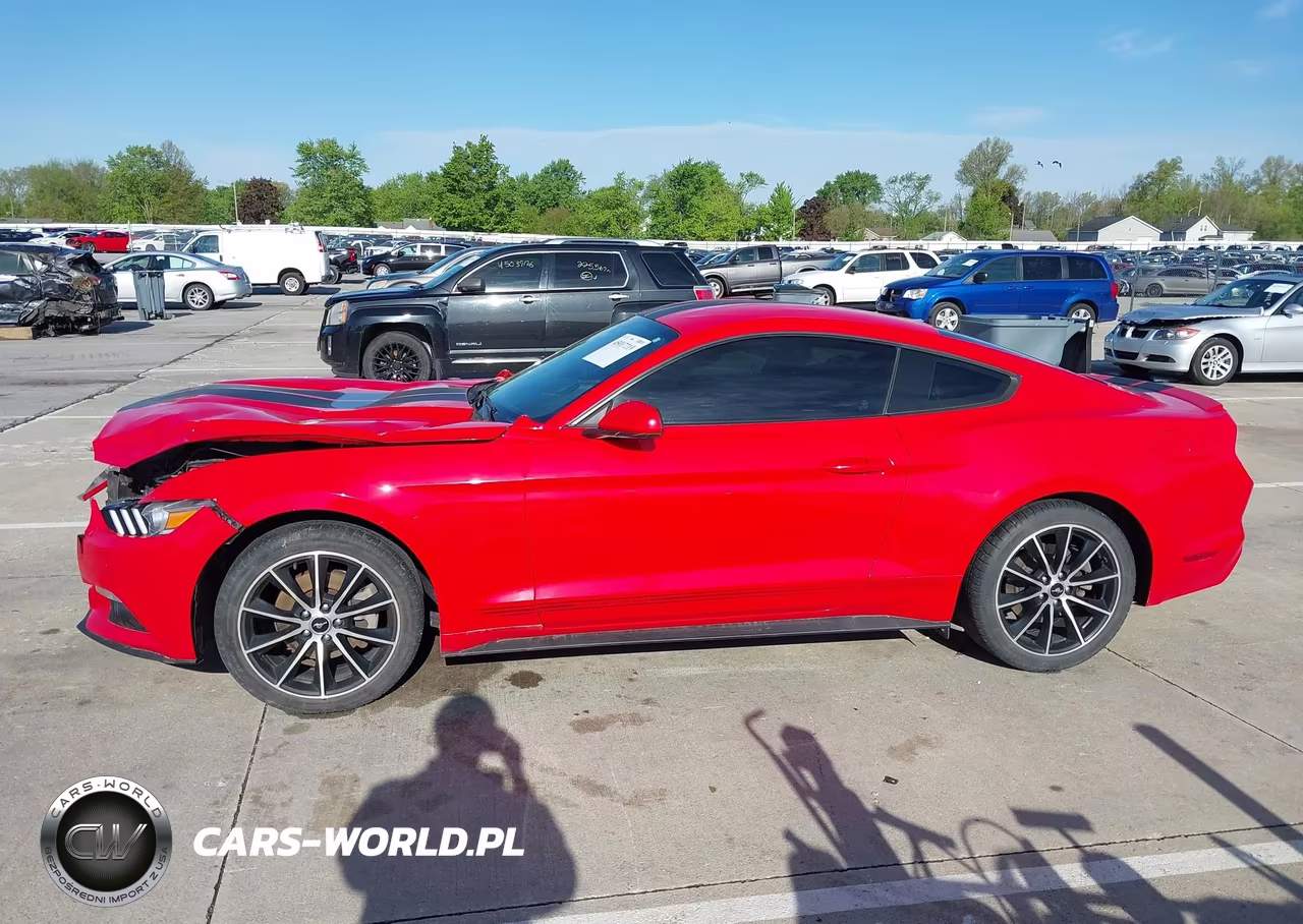 2017 Ford Mustang Ecoboost VIN:1FA6P8TH5H5240686 - 14