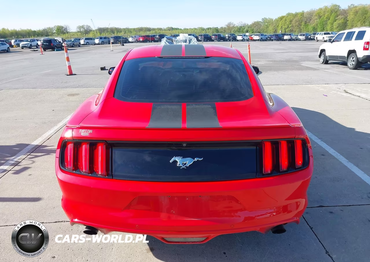 2017 Ford Mustang Ecoboost VIN:1FA6P8TH5H5240686 - 16