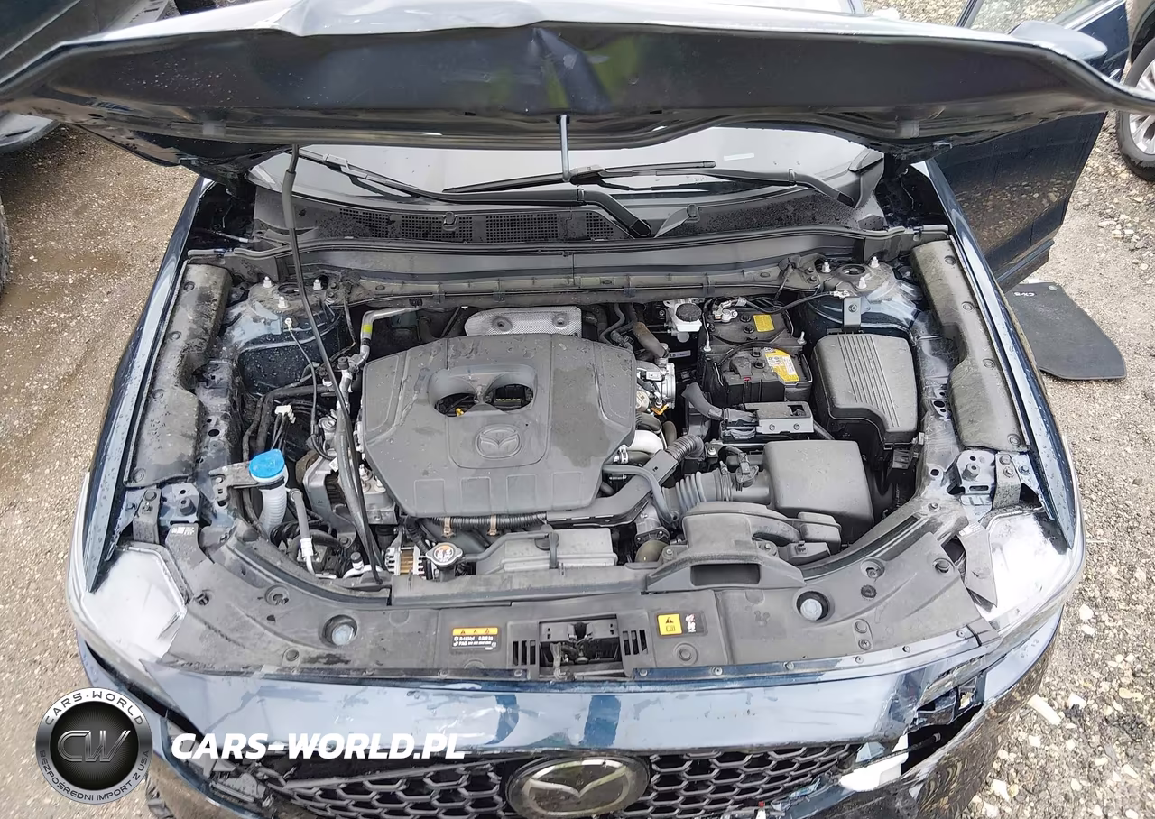 2025 Mazda Cx-5 2.5 S Premium Plus VIN:JM3KFBEM2S0617697 - 10