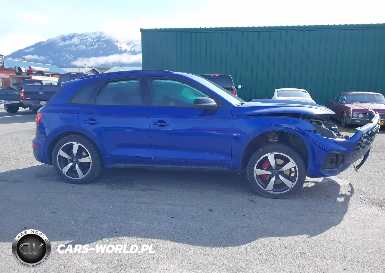 2023 Audi Sq5 Premium Plus Tfsi Quattro Tiptronic VIN:WA1B4AFY1P2185250 - 13
