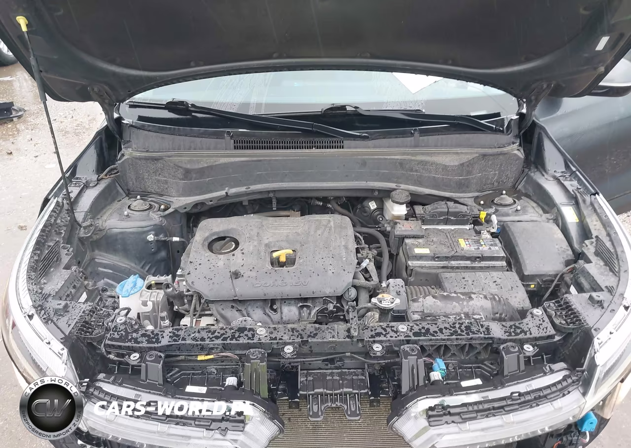 2024 Kia Seltos Ex VIN:KNDER2AA3R7500687 - 10