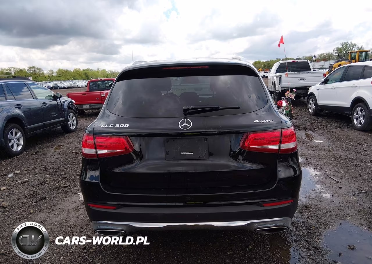 2017 Mercedes-Benz Glc 300 4Matic VIN:WDC0G4KB1HF254322 - 16