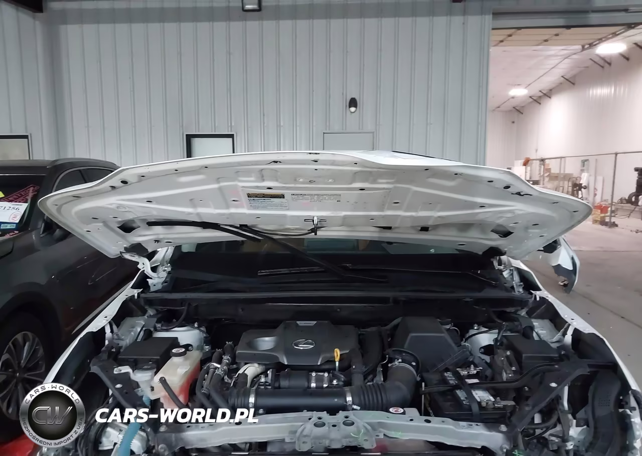 2018 Lexus Nx 300 VIN:JTJYARBZ3J2091669 - 10