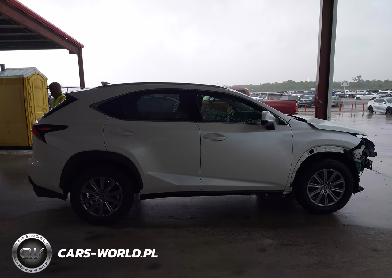 2018 Lexus Nx 300 VIN:JTJYARBZ3J2091669 - 13