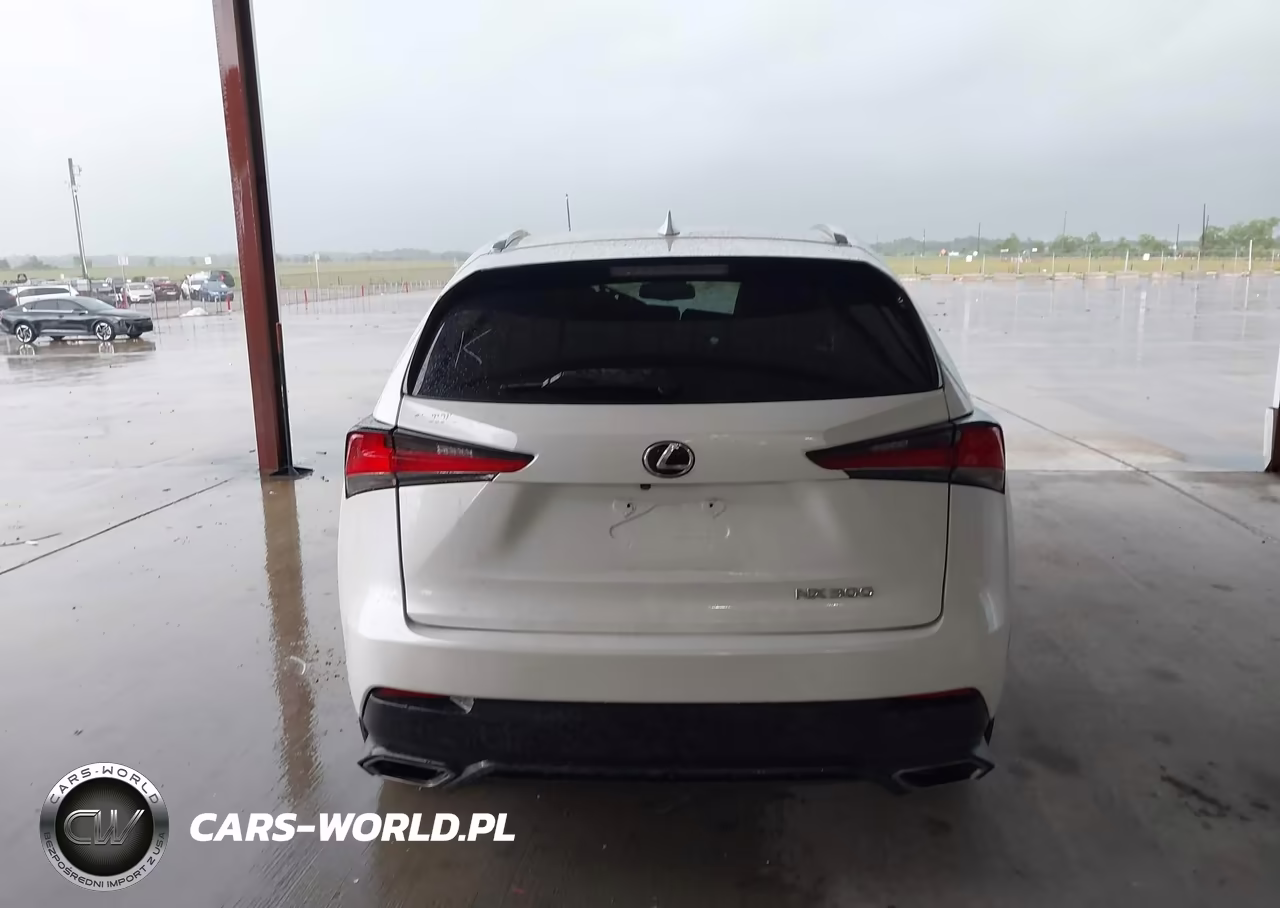 2018 Lexus Nx 300 VIN:JTJYARBZ3J2091669 - 16