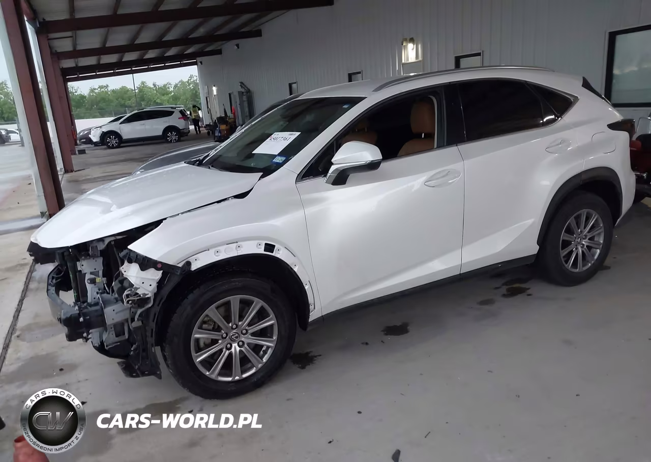 2018 Lexus Nx 300 VIN:JTJYARBZ3J2091669 - 2