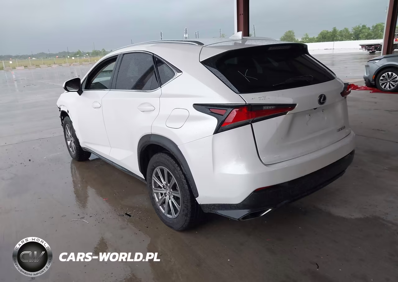 2018 Lexus Nx 300 VIN:JTJYARBZ3J2091669 - 3