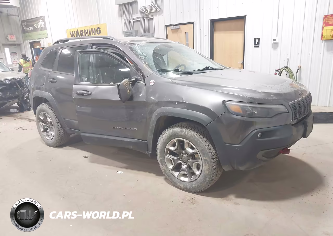 2019 Jeep Cherokee Trailhawk 4X4