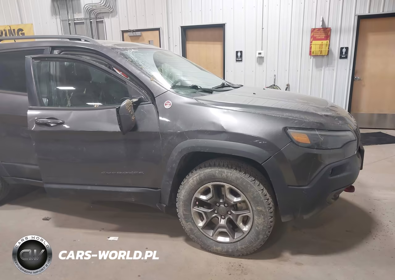 2019 Jeep Cherokee Trailhawk 4X4 VIN:1C4PJMBX8KD352686 - 6