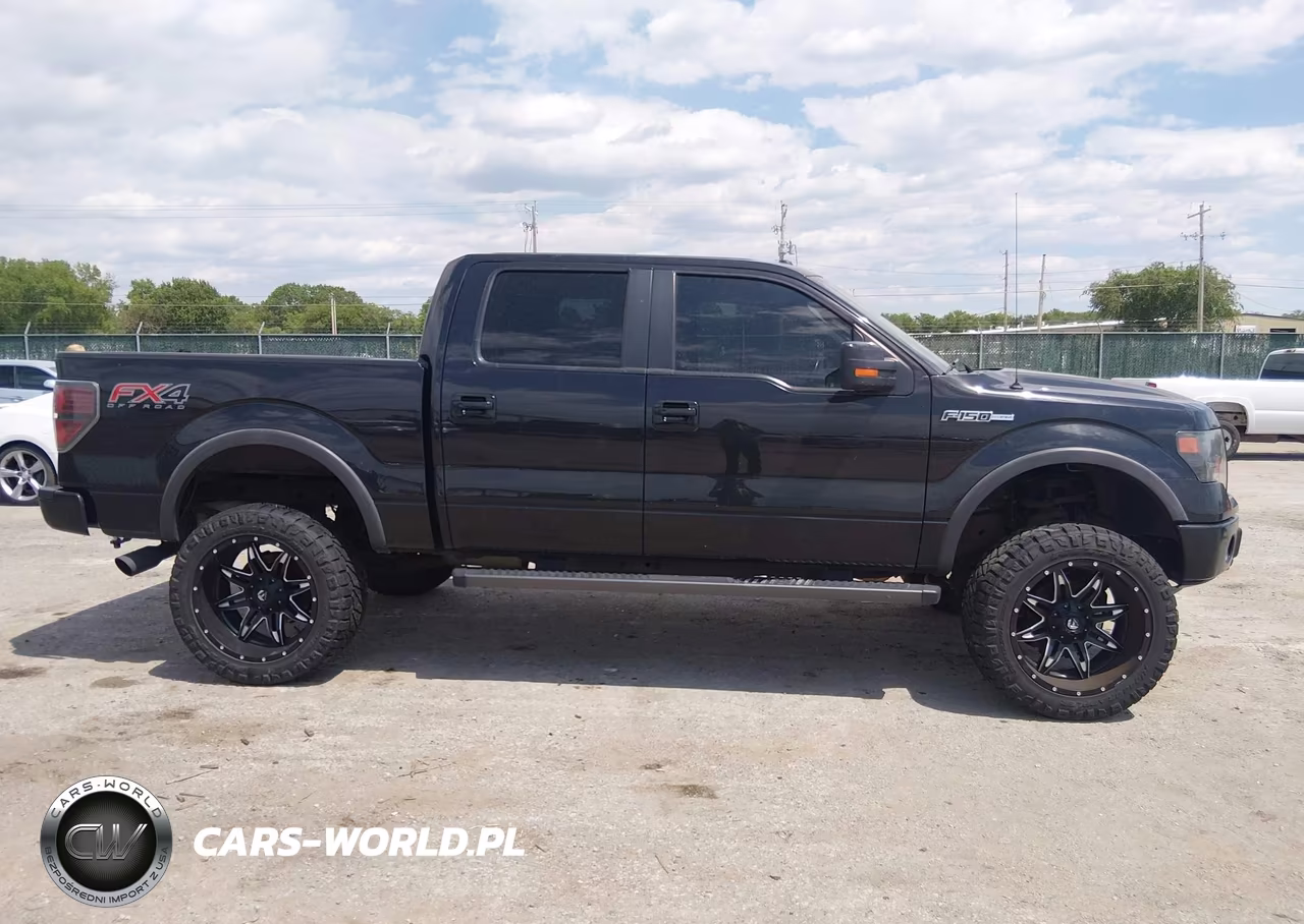 2014 Ford F-150 Fx4 VIN:1FTFW1EF2EFC93948 - 13