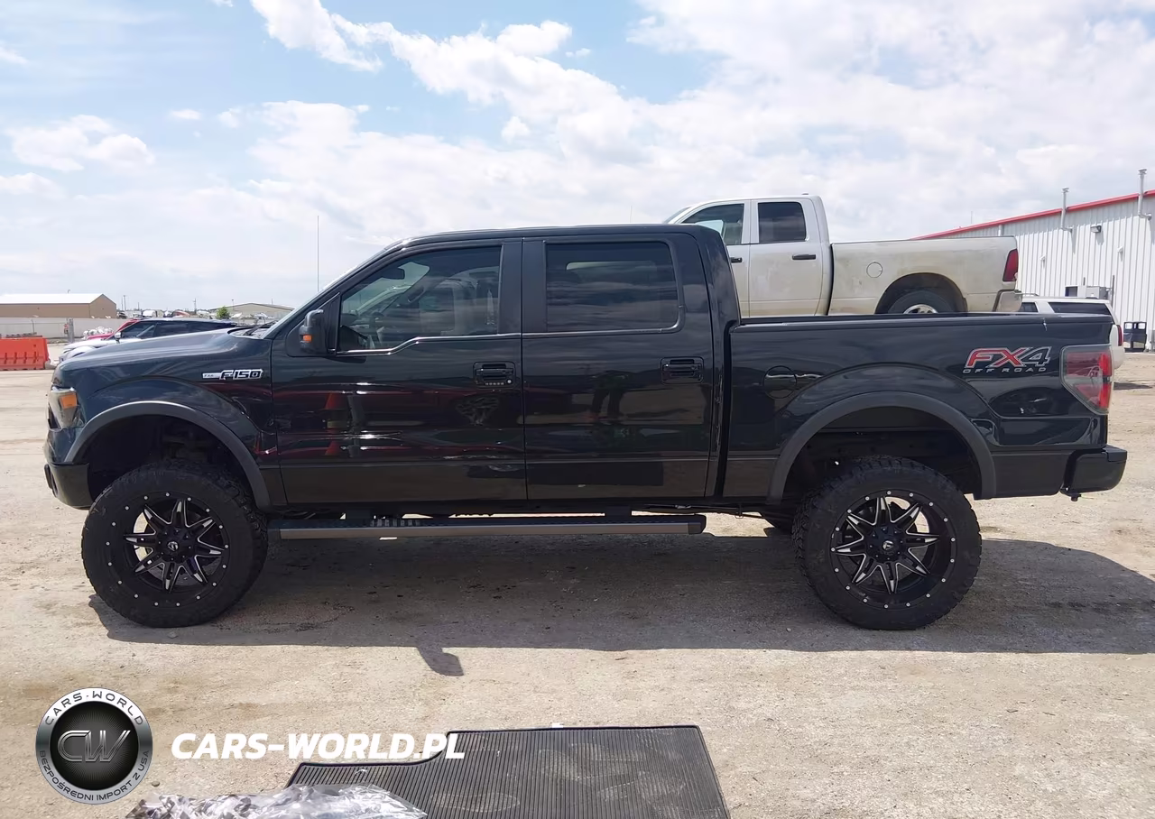 2014 Ford F-150 Fx4 VIN:1FTFW1EF2EFC93948 - 14