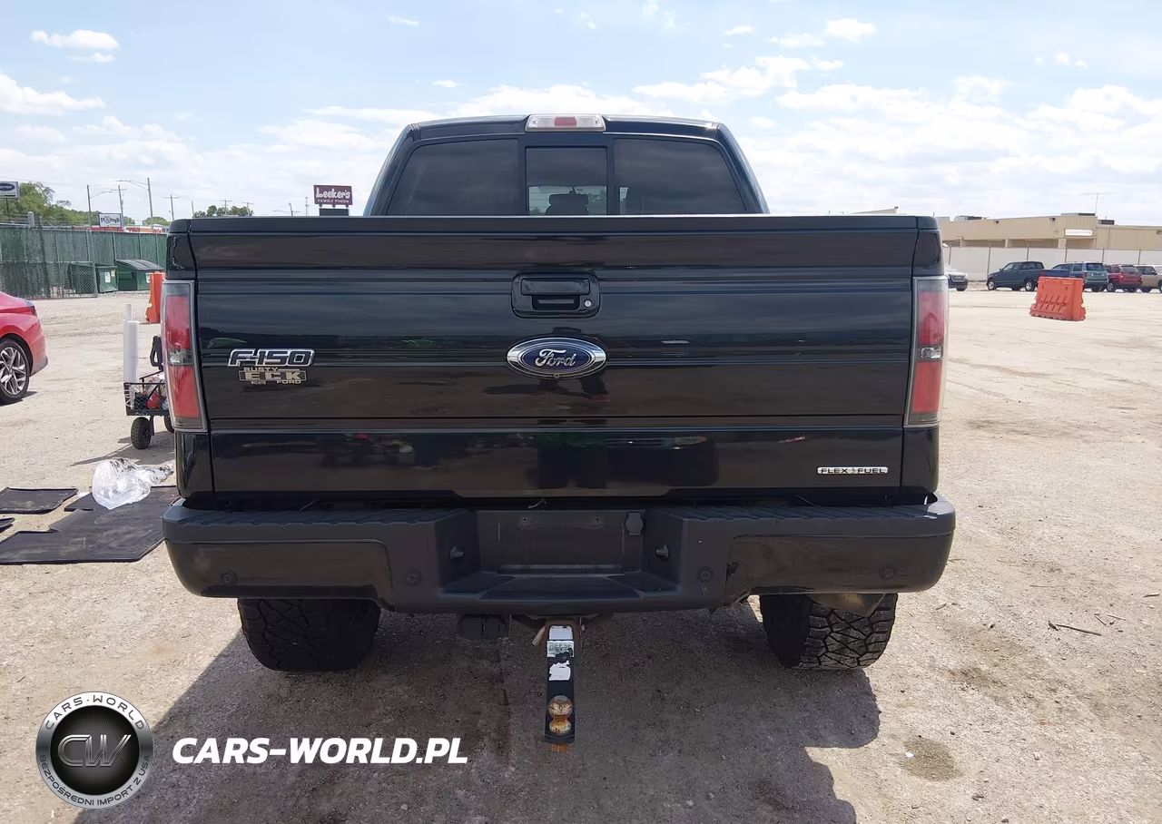 2014 Ford F-150 Fx4 VIN:1FTFW1EF2EFC93948 - 16