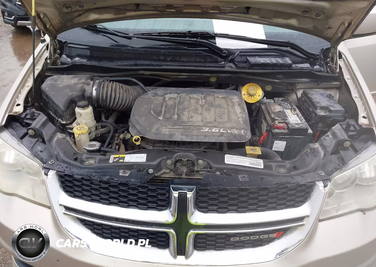 2014 Dodge Grand Caravan Se 30Th Anniversary VIN:2C4RDGBG9ER257833 - 10