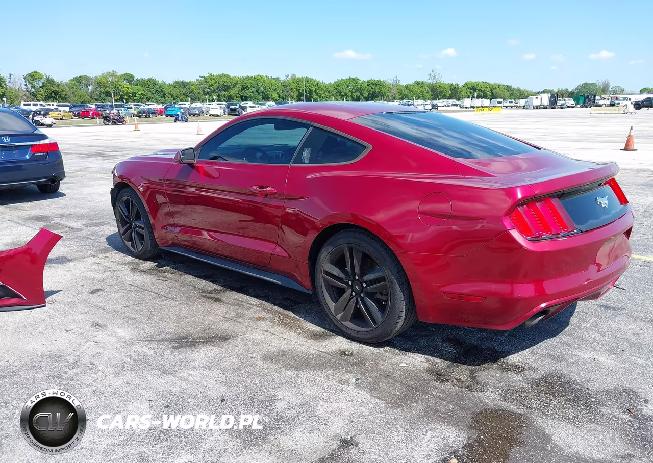 2016 Ford Mustang Ecoboost VIN:1FA6P8TH8G5271848 - 3
