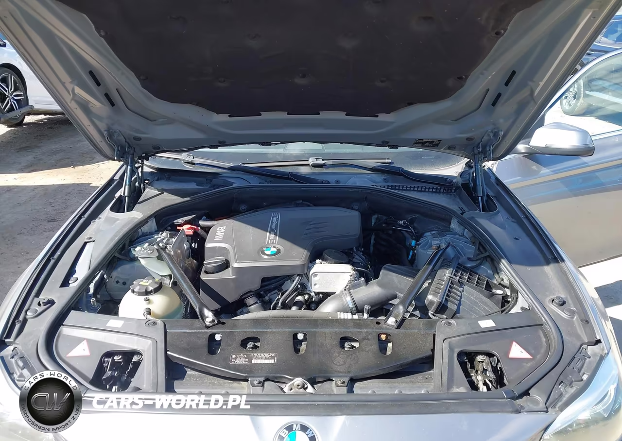 2015 BMW 528I xDrive VIN:WBA5A7C51FD624407 - 10