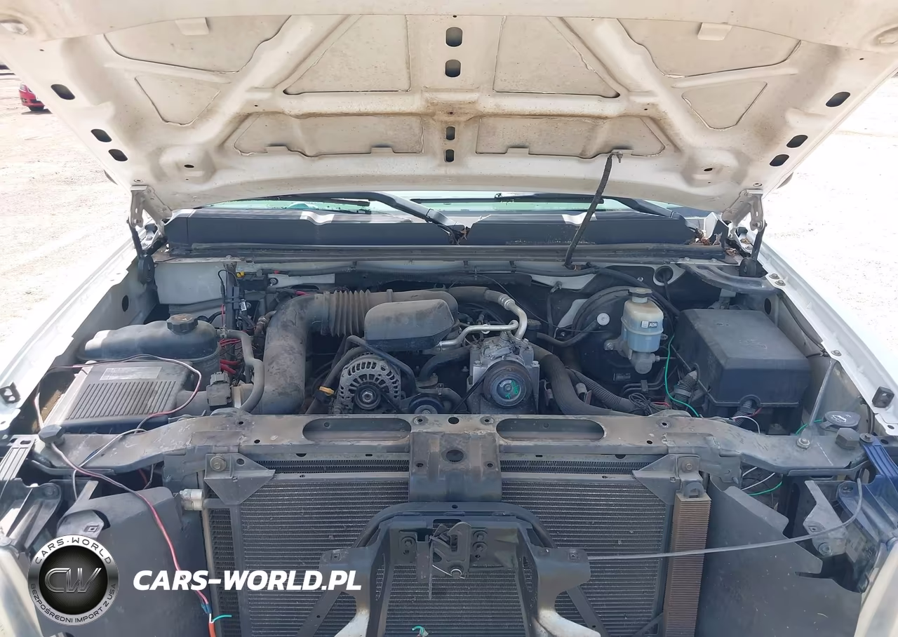 2009 Chevrolet Silverado 1500 Work Truck VIN:1GCEC14X69Z193791 - 10