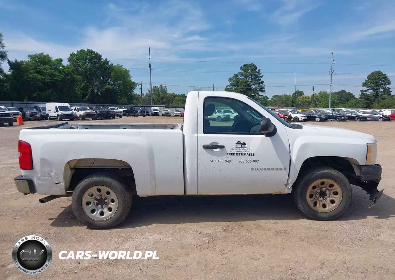 2009 Chevrolet Silverado 1500 Work Truck VIN:1GCEC14X69Z193791 - 13