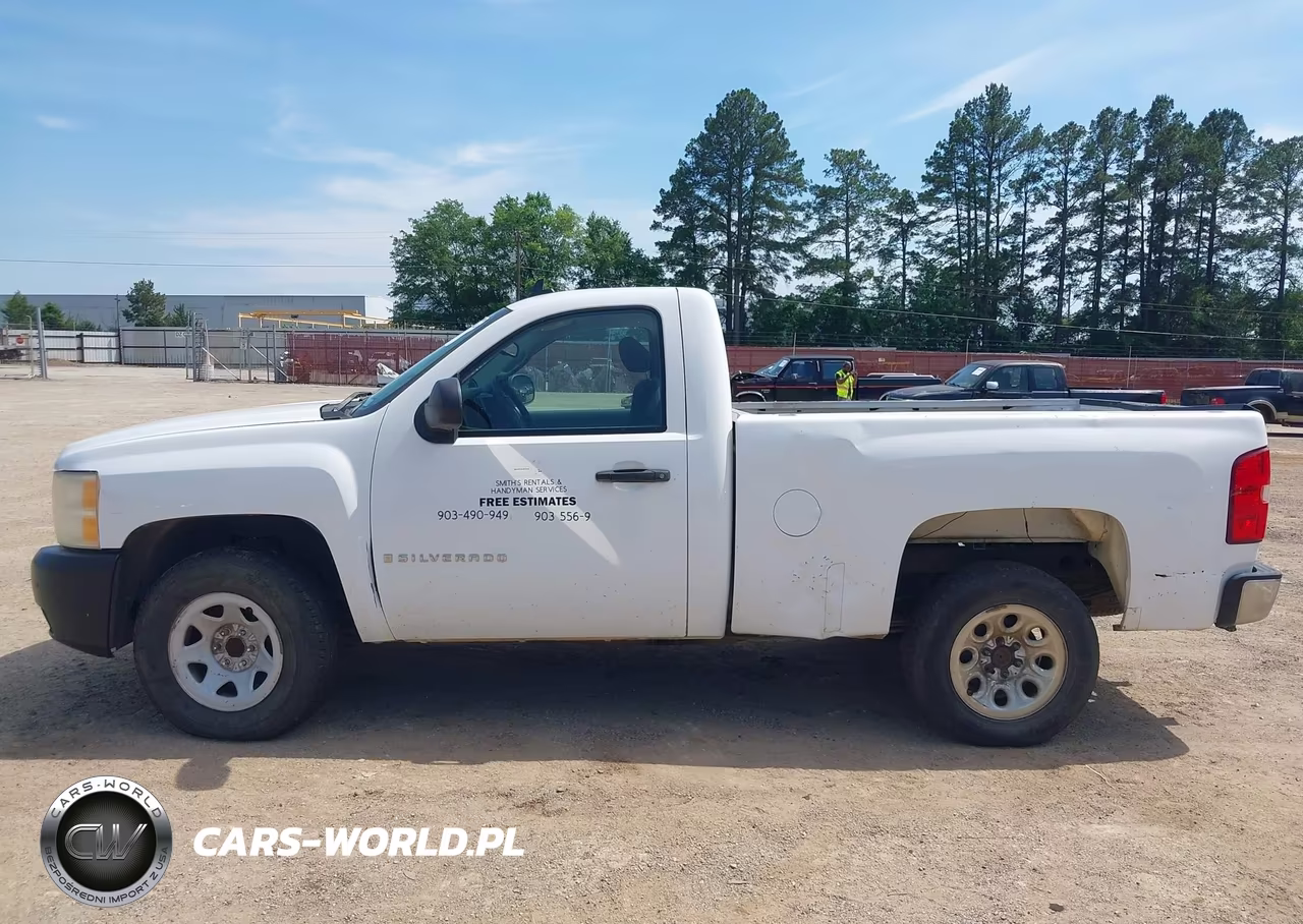 2009 Chevrolet Silverado 1500 Work Truck VIN:1GCEC14X69Z193791 - 15