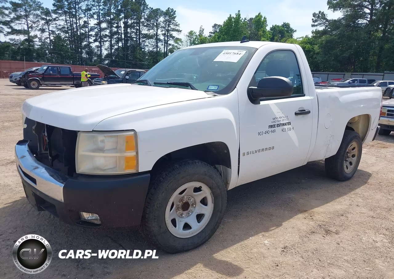 2009 Chevrolet Silverado 1500 Work Truck VIN:1GCEC14X69Z193791 - 2