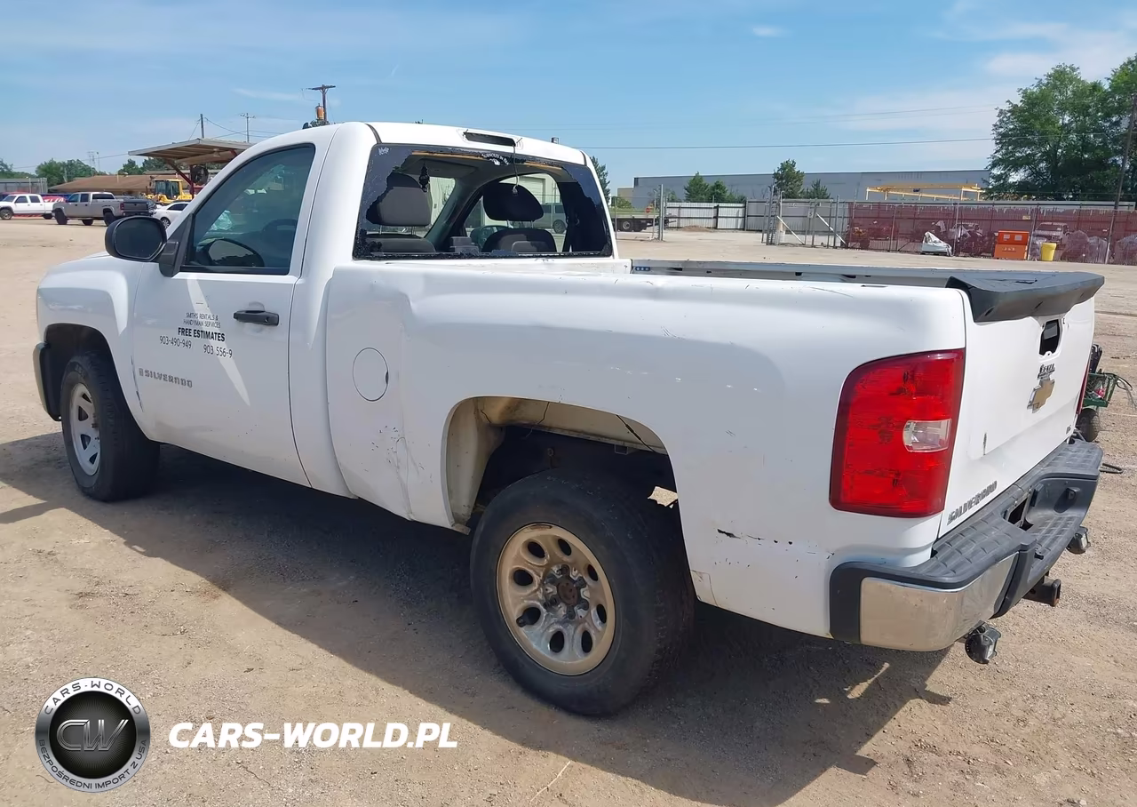 2009 Chevrolet Silverado 1500 Work Truck VIN:1GCEC14X69Z193791 - 3