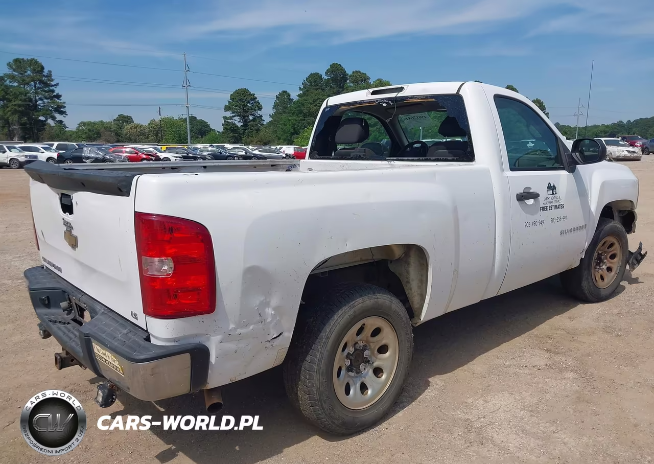 2009 Chevrolet Silverado 1500 Work Truck VIN:1GCEC14X69Z193791 - 4