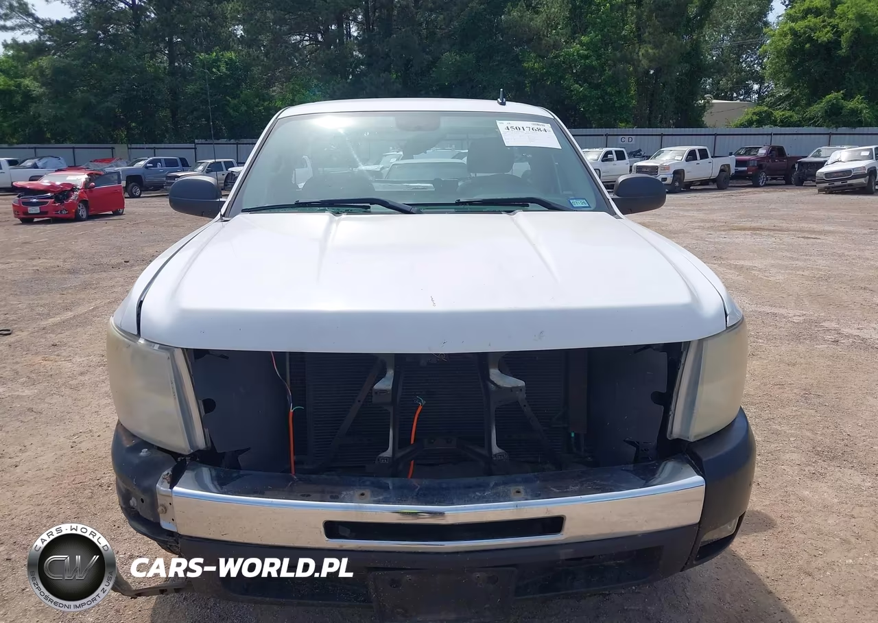2009 Chevrolet Silverado 1500 Work Truck VIN:1GCEC14X69Z193791 - 6