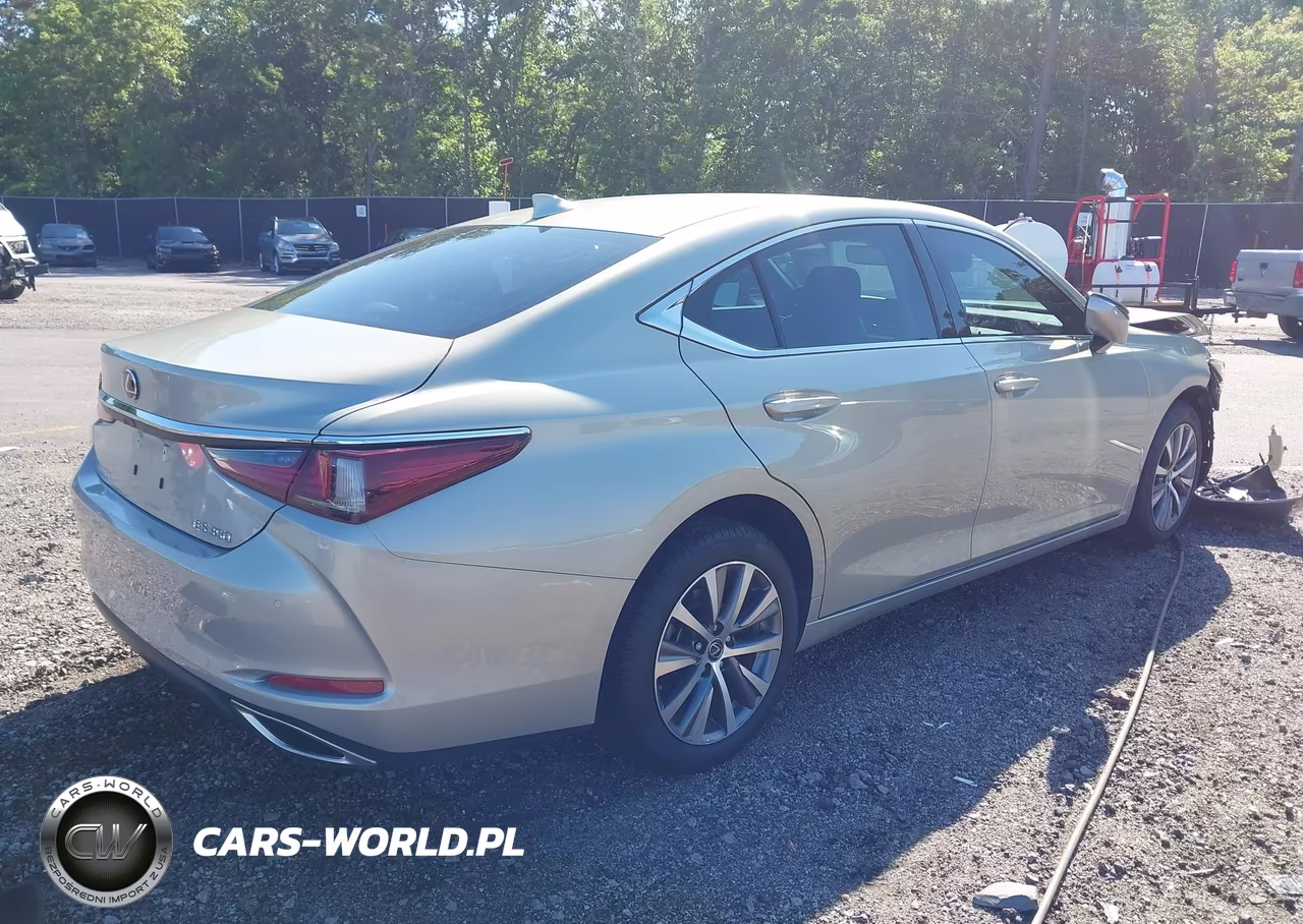 2020 Lexus Es 350 VIN:58ADZ1B19LU078541 - 4