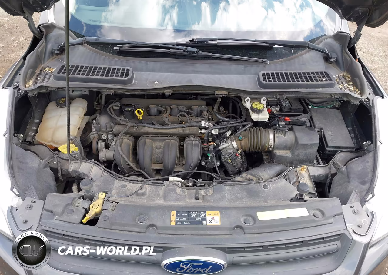 2015 Ford Escape S VIN:1FMCU0F74FUB26591 - 10