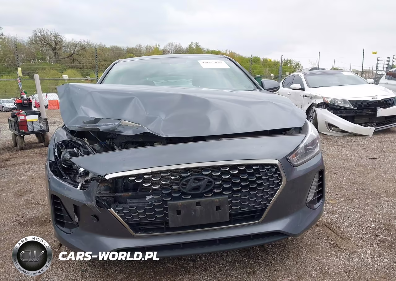 2018 Hyundai Elantra Gt VIN:KMHH35LE6JU067089 - 12