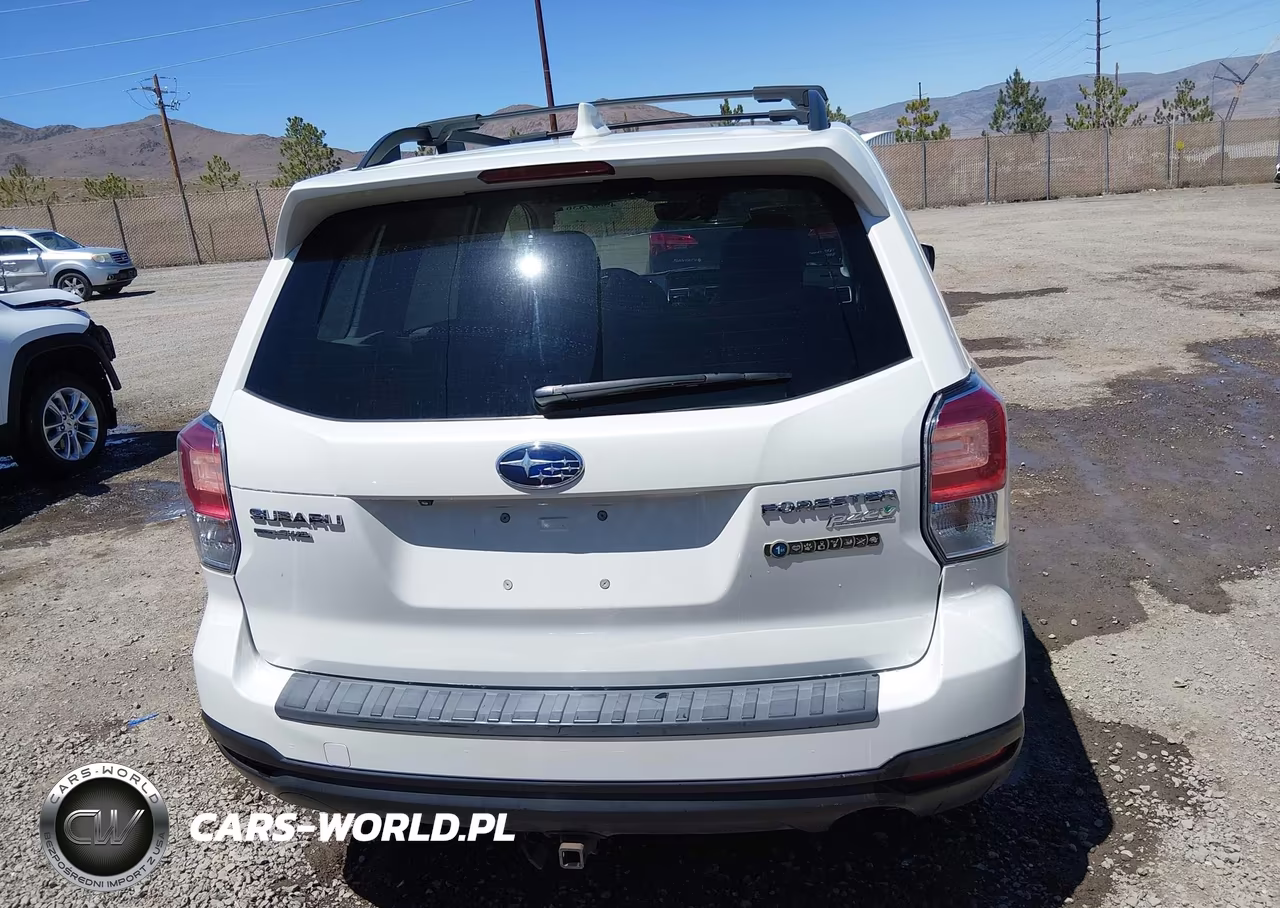 2017 Subaru Forester 2.5I Premium VIN:JF2SJAECXHH410821 - 17