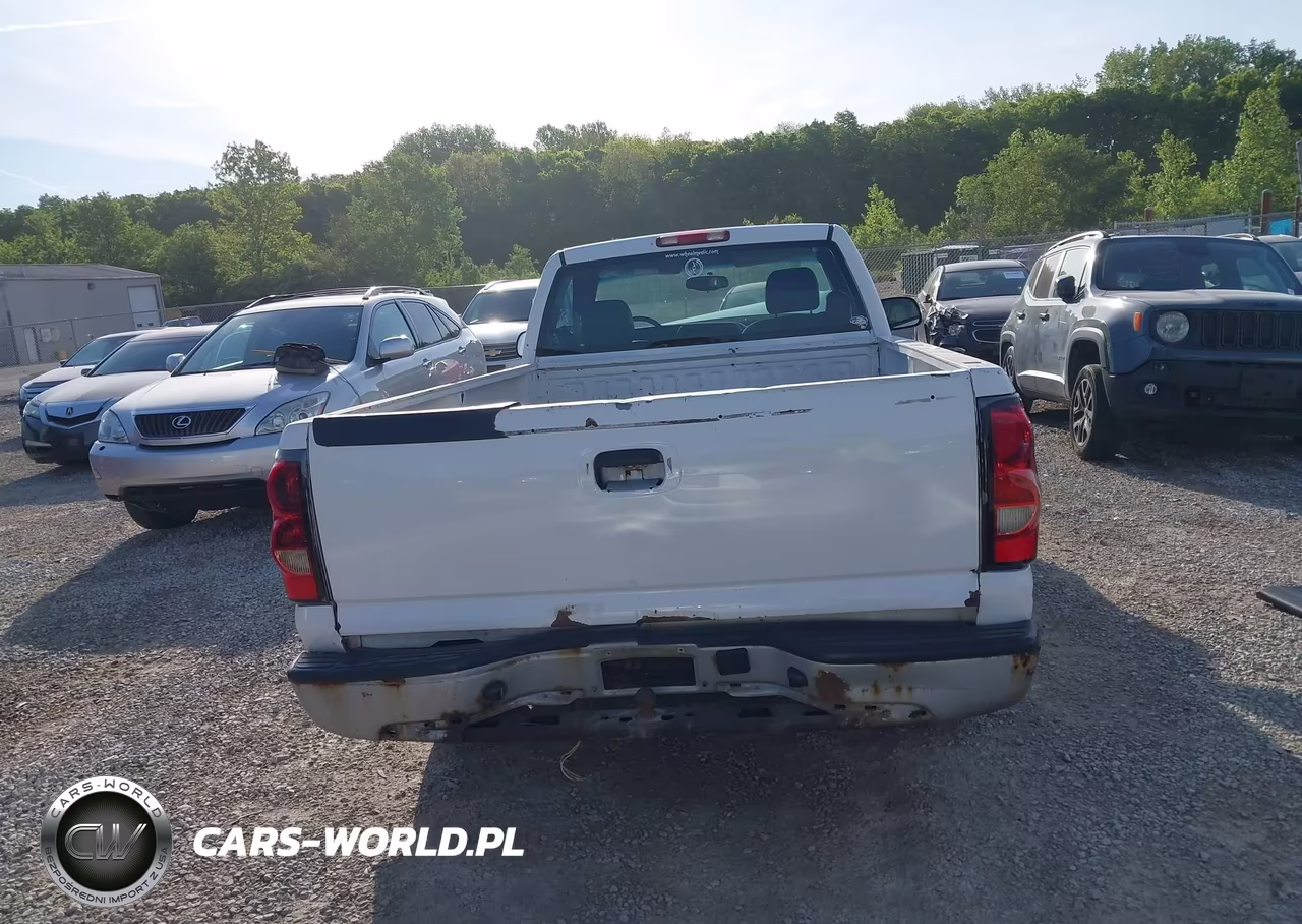 2006 Chevrolet Silverado 1500 Work Truck VIN:3GCEC14X16G180443 - 17