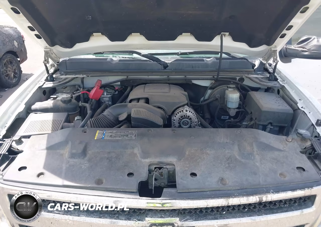 2010 Chevrolet Silverado 1500 Lt VIN:3GCRCSEA3AG252169 - 10