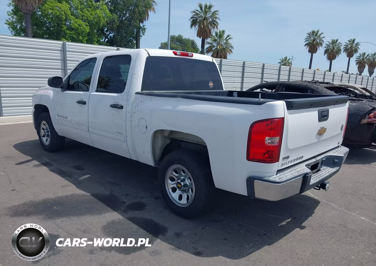 2010 Chevrolet Silverado 1500 Lt VIN:3GCRCSEA3AG252169 - 3