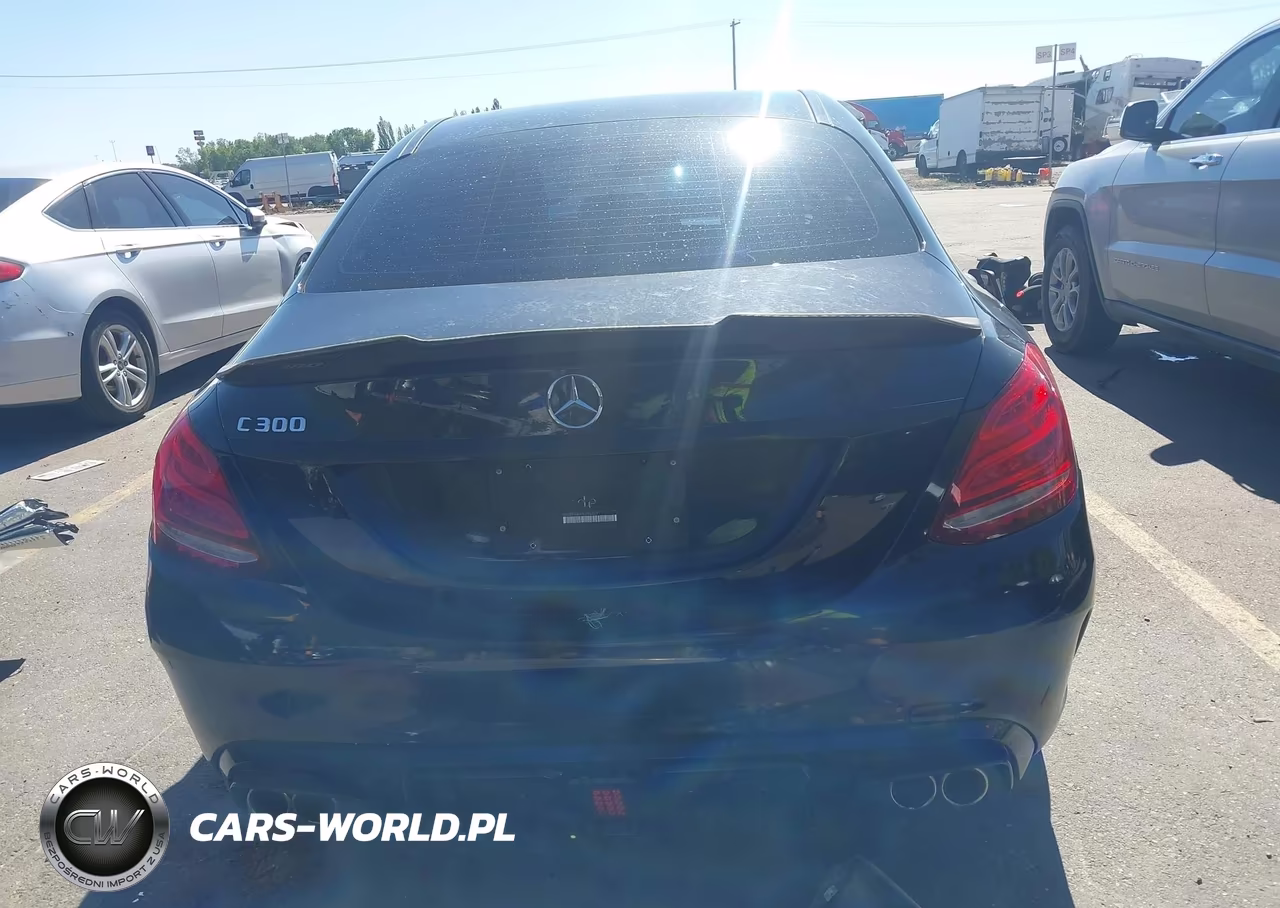2017 Mercedes-Benz C 300 Sport VIN:55SWF4JB4HU196469 - 17