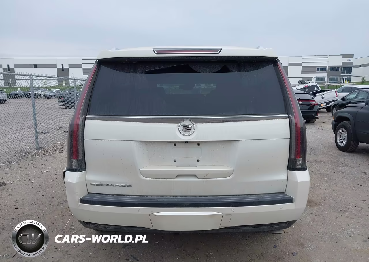 2015 Cadillac Escalade Premium VIN:1GYS4CKJ9FR271612 - 16