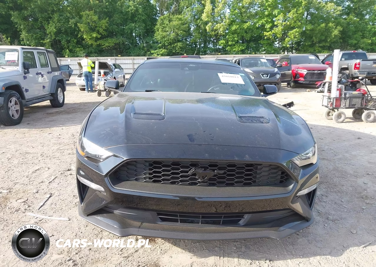 2022 Ford Mustang Ecoboost Premium Fastback VIN:1FA6P8TH5N5150093 - 13