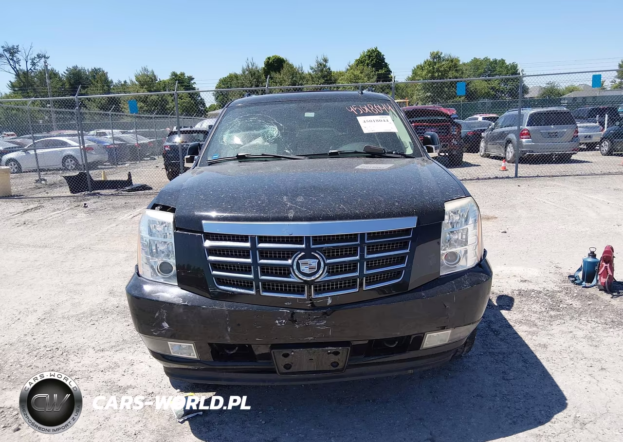 2008 Cadillac Escalade Esv Standard VIN:1GYFK66898R161596 - 12