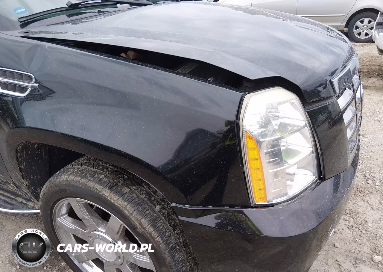 2008 Cadillac Escalade Esv Standard VIN:1GYFK66898R161596 - 19