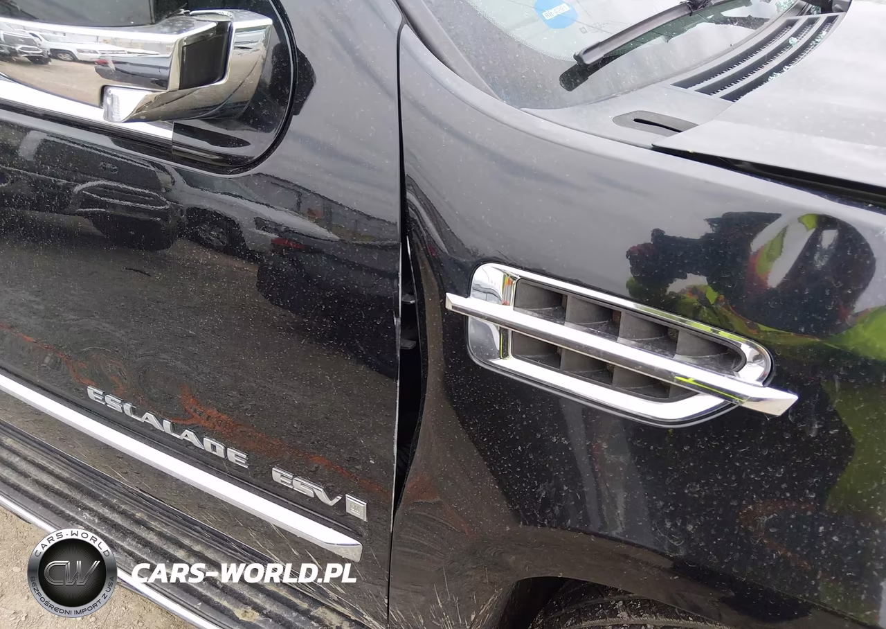 2008 Cadillac Escalade Esv Standard VIN:1GYFK66898R161596 - 20