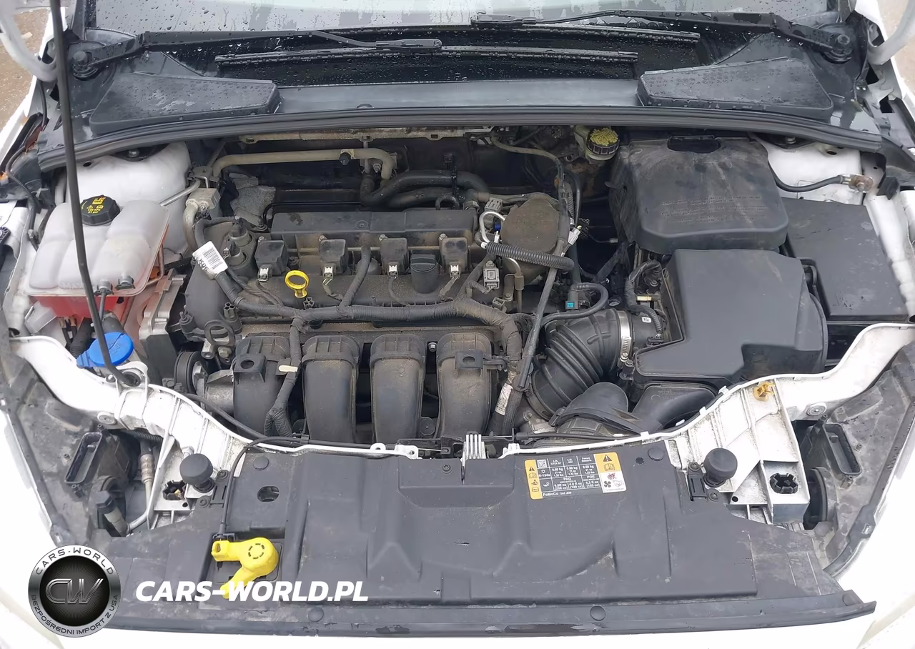 2016 Ford Focus Se VIN:1FADP3K29GL285048 - 10