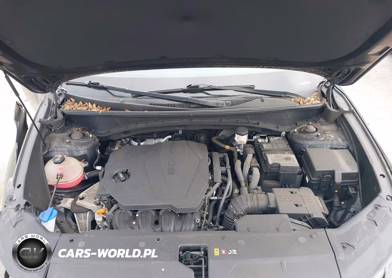 2023 Hyundai Tucson Sel VIN:5NMJFCAE9PH206524 - 10