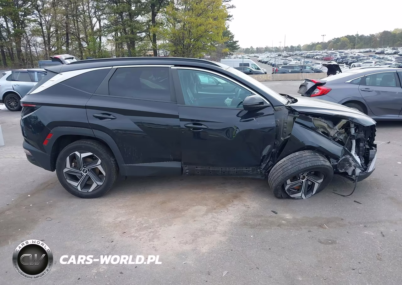 2023 Hyundai Tucson Sel VIN:5NMJFCAE9PH206524 - 13